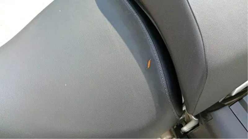 Bmw R 1200 GS (2004 - 07) (9)