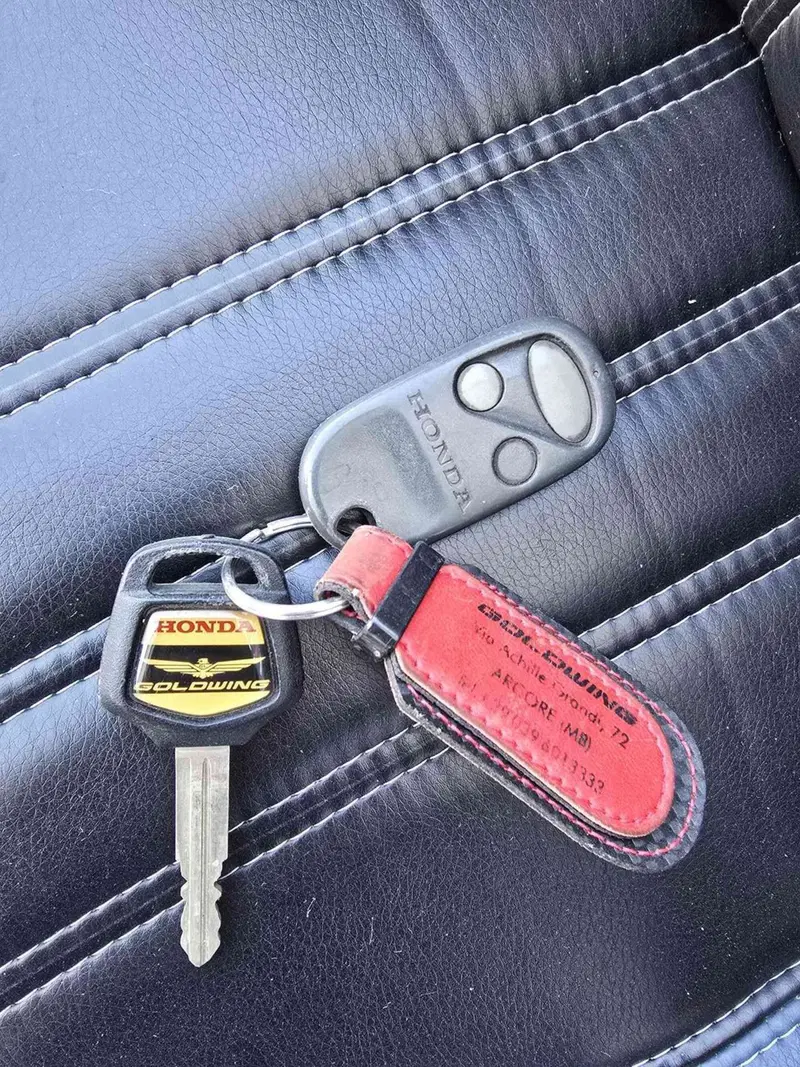 Honda GL 1800 Gold Wing (2000 - 05) (15)