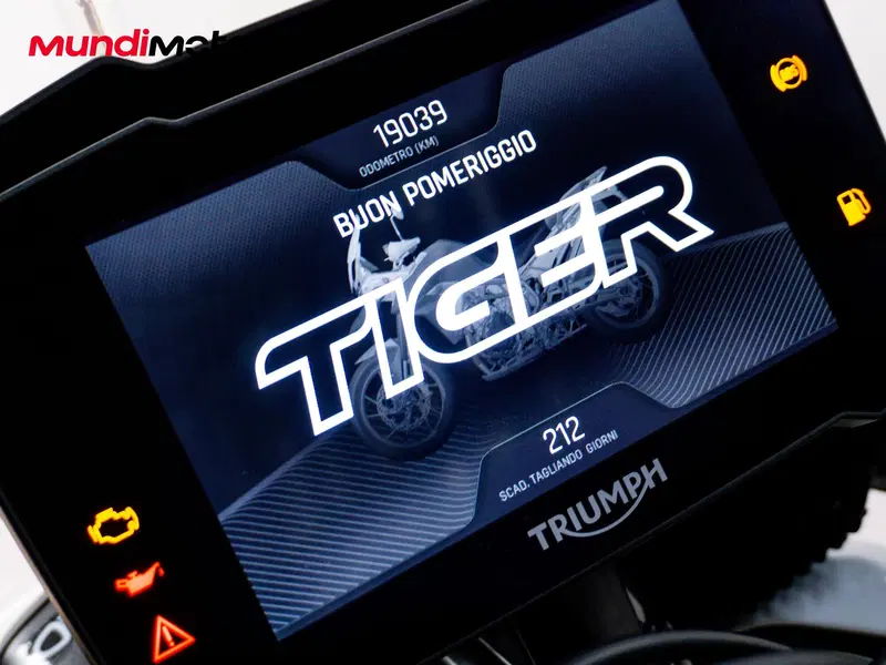 Triumph Tiger 900 Rally Pro (2020 - 23) (12)