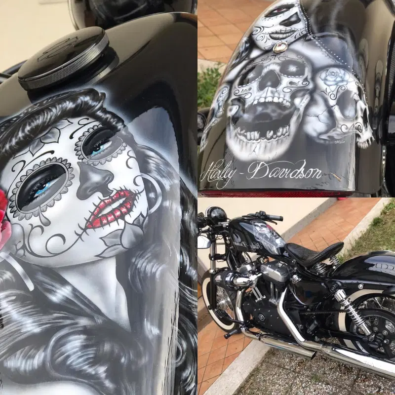 Harley-Davidson 1200 Forty-Eight (2010 - 15) (4)