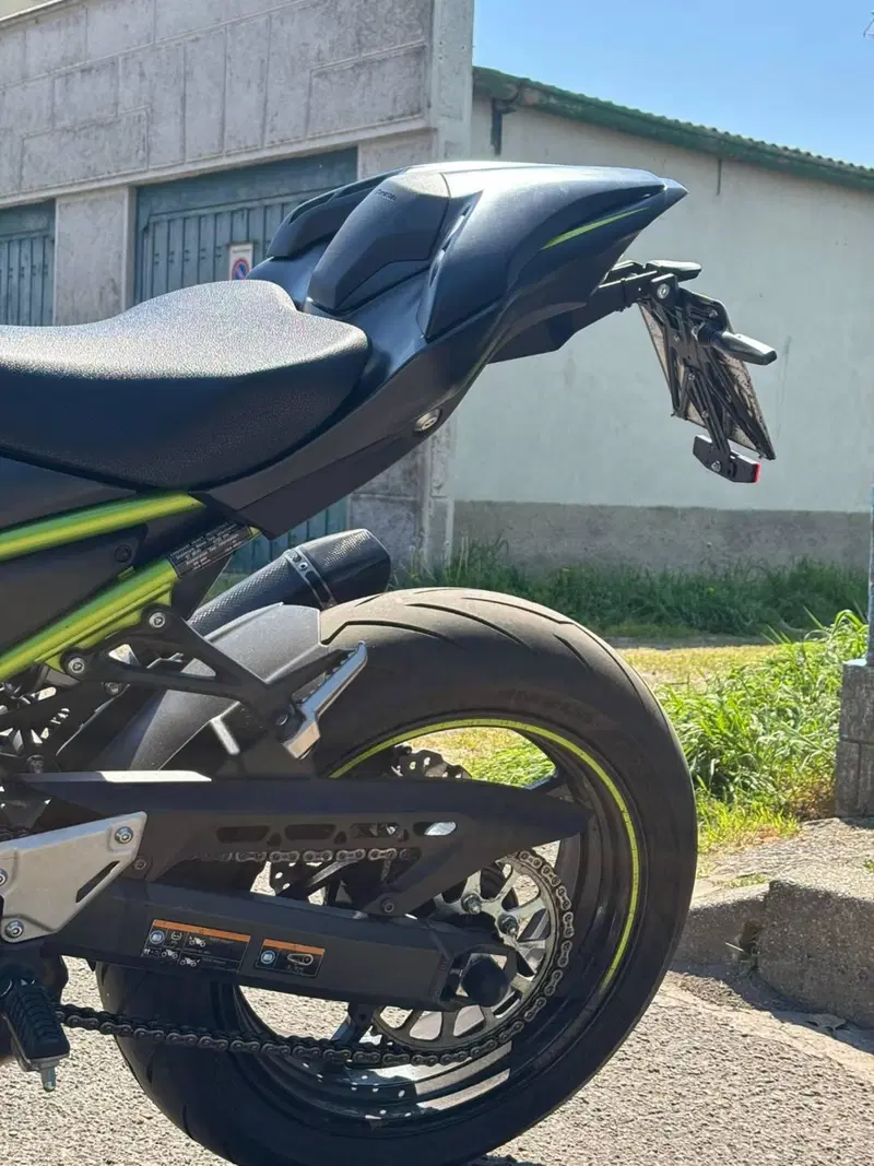 Kawasaki Z 900 Performance (2021 - 24) (9)