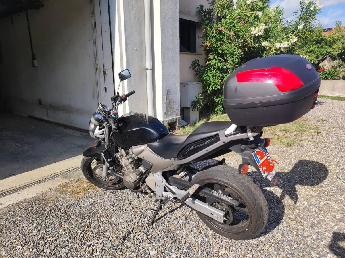 Honda Hornet 600 (2003 - 04) (6)