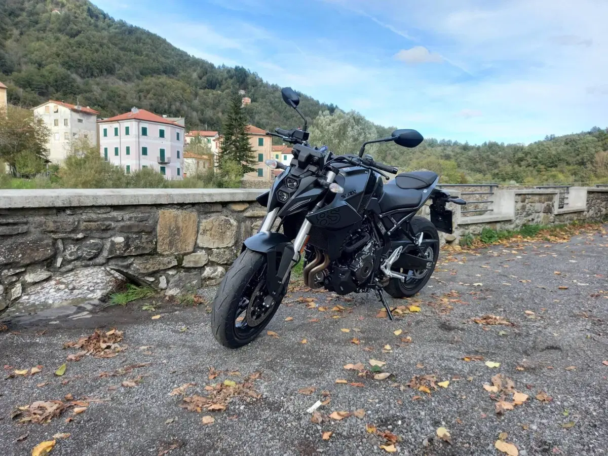 Suzuki GSX-8S (2023 - 24) (6)
