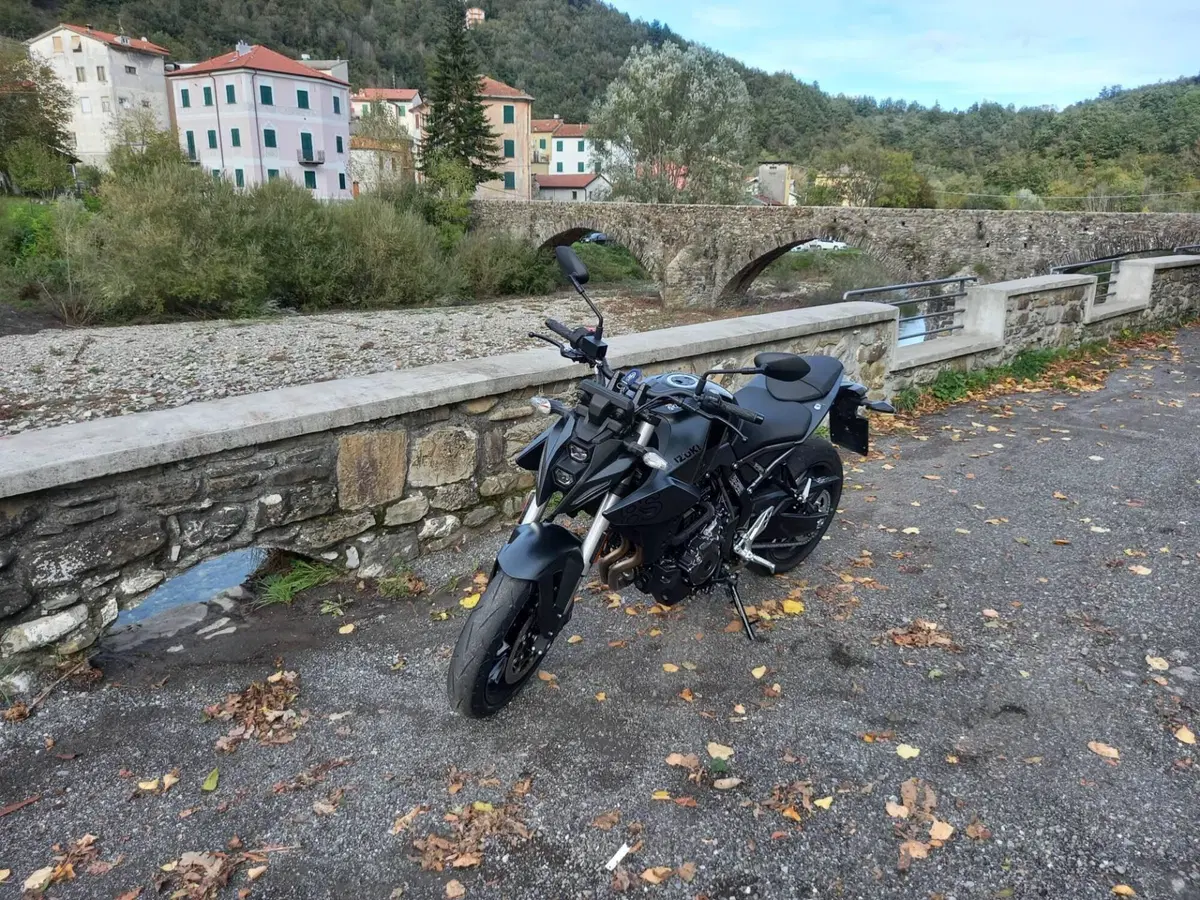 Suzuki GSX-8S (2023 - 24) (7)