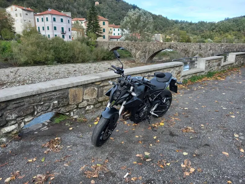 Suzuki GSX-8S (2023 - 24) (7)