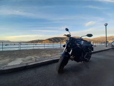 Suzuki GSX-8S (2023 - 24) usata