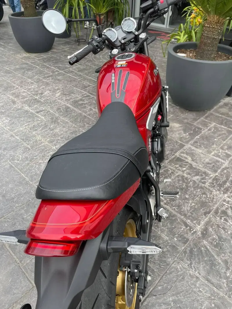 Kawasaki Z 650 RS (2022 - 24) (2)