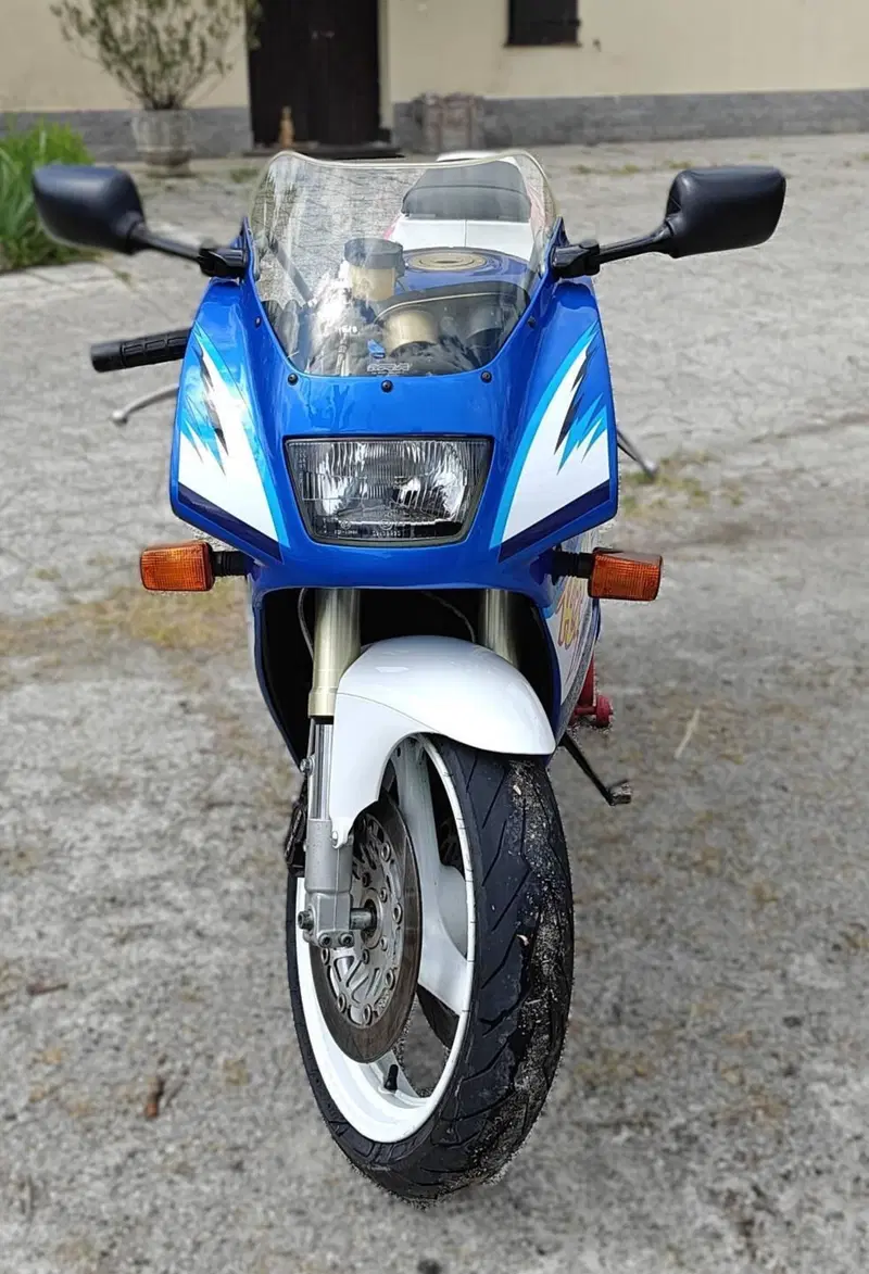 Suzuki RG 250 Gamma (1989 - 93) (4)