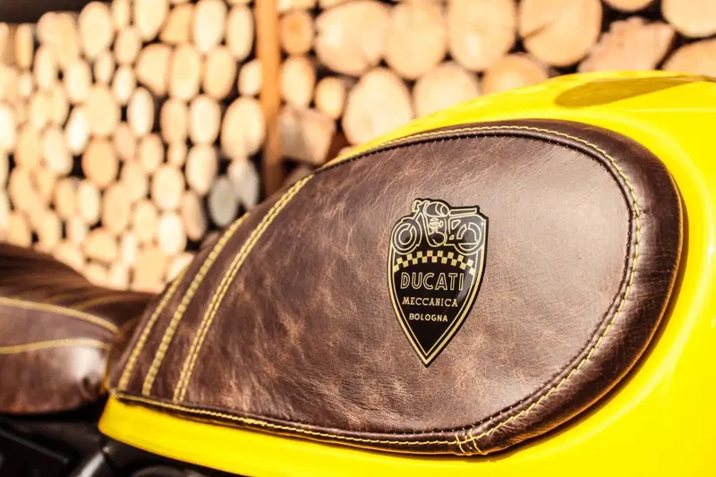 Ducati Scrambler 800 Icon (2025 - 26) (11)