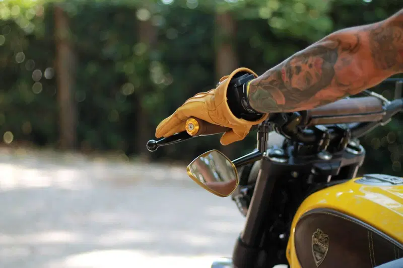 Ducati Scrambler 800 Icon (2025 - 26) (12)