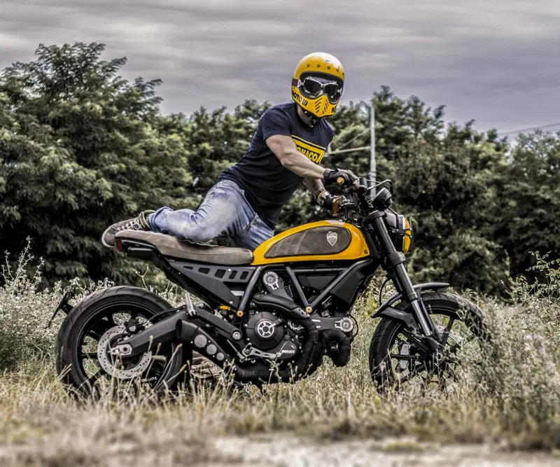 Ducati Scrambler 800 Icon (2025 - 26) (16)