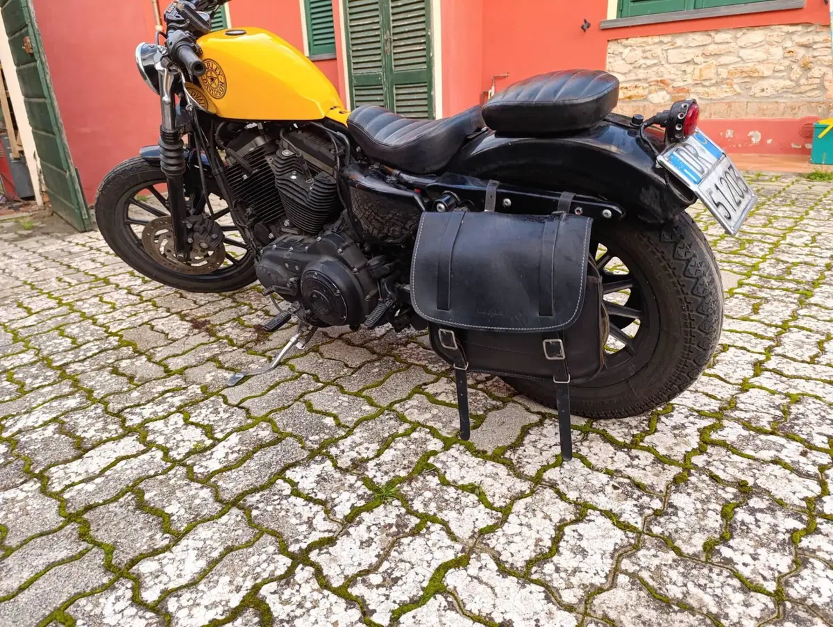 Harley-Davidson 883 Iron (2014 - 16) - XL 883N (2)