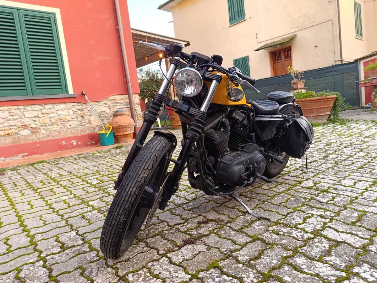 Harley-Davidson 883 Iron (2014 - 16) - XL 883N (3)