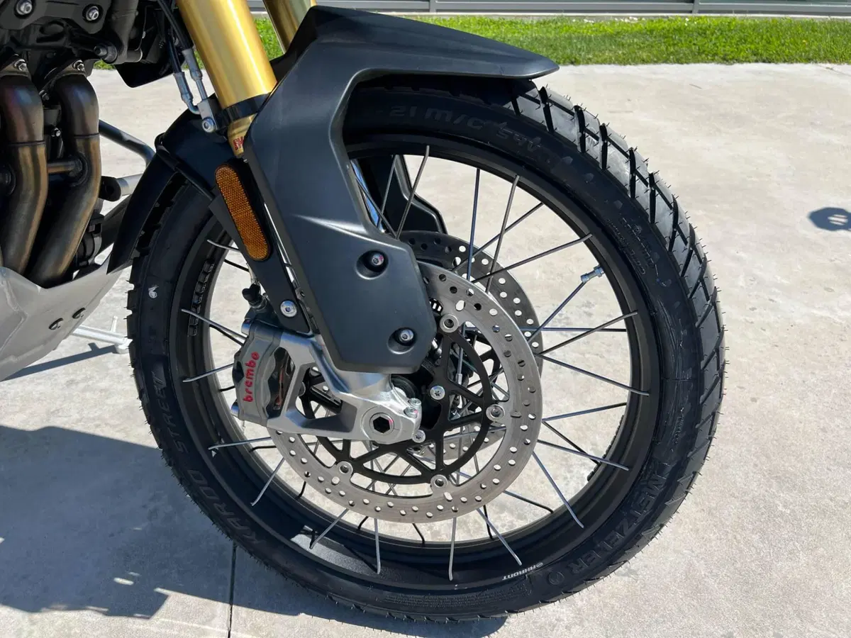 Triumph Tiger 1200 Desert Special Edition (2026) (4)