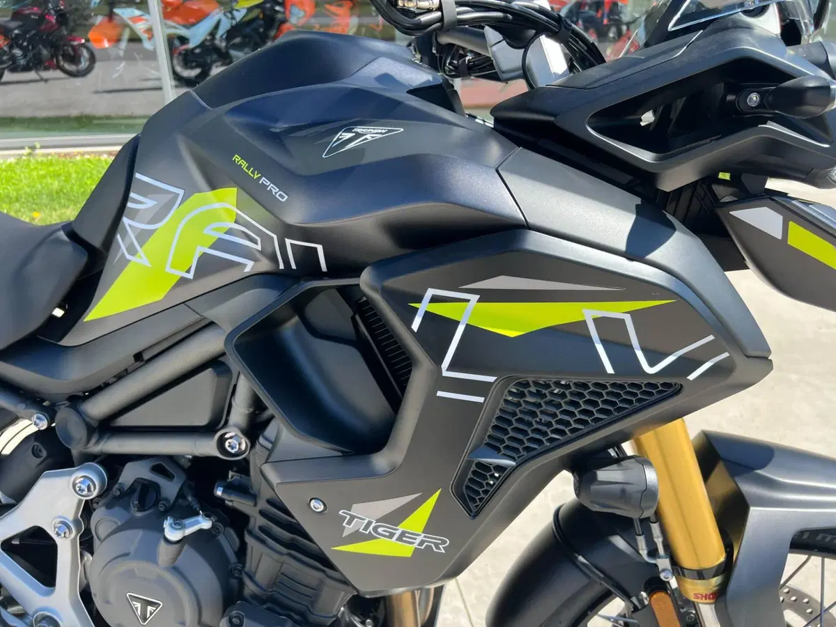 Triumph Tiger 1200 Desert Special Edition (2026) (9)