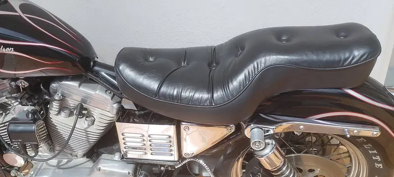 Harley-Davidson SPORTSTER 883 (5)
