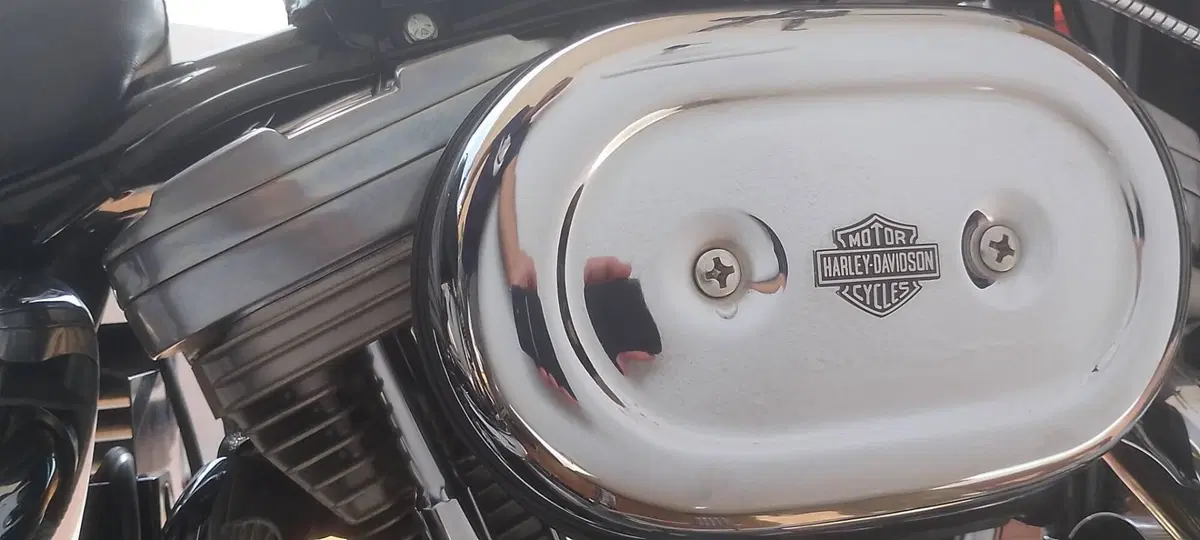 Harley-Davidson SPORTSTER 883 (6)