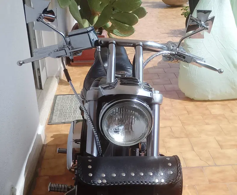 Harley-Davidson SPORTSTER 883 (7)