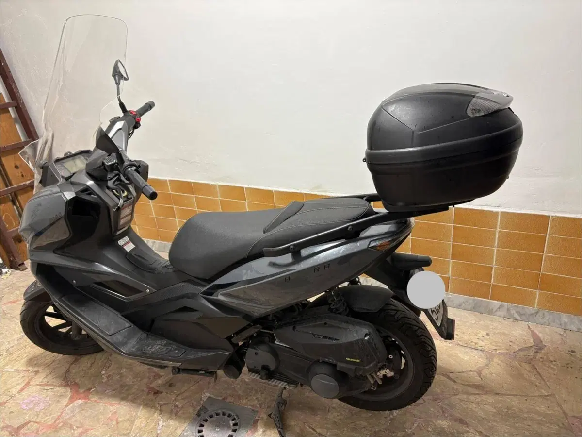 Over Brera 300 (2021 - 23) (2)