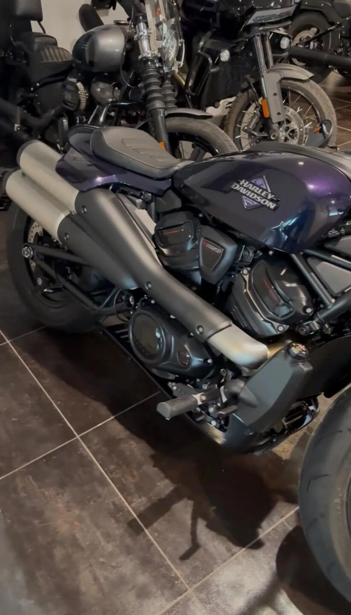 Harley-Davidson Sportster S (2025 - 26)