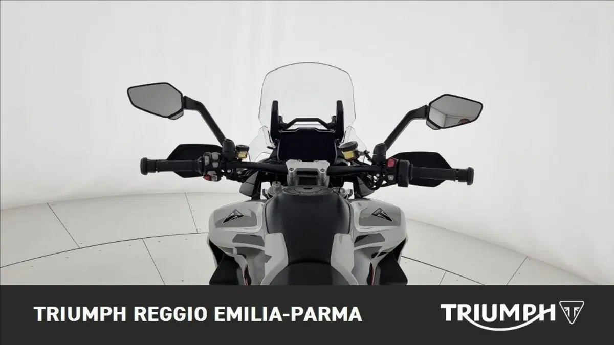 Triumph Tiger 1200 Alpine Edition (2020) (9)