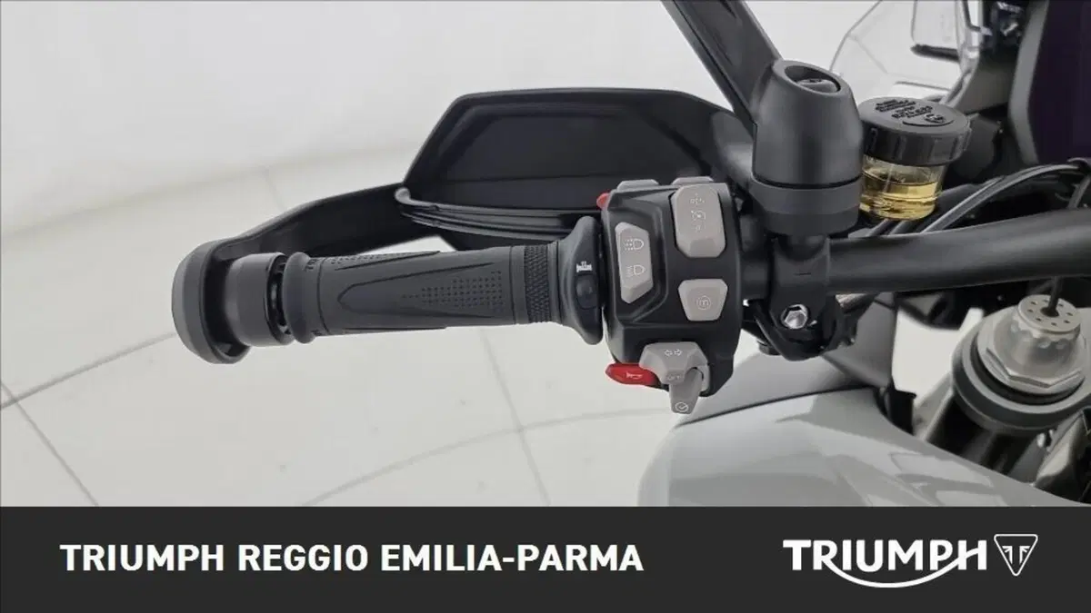 Triumph Tiger 1200 Alpine Edition (2020) (13)