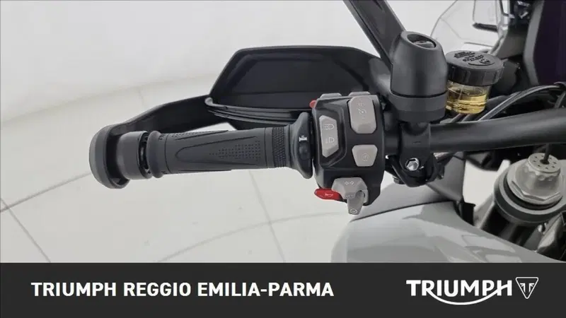Triumph Tiger 1200 Alpine Edition (2020) (13)