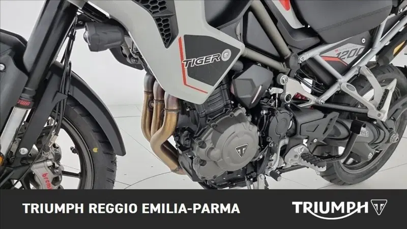 Triumph Tiger 1200 Alpine Edition (2020) (17)