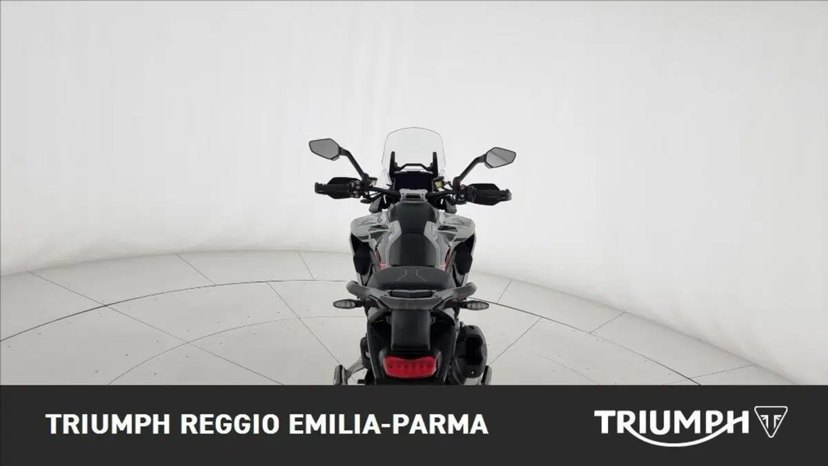 Triumph Tiger 1200 Alpine Edition (2020) (10)