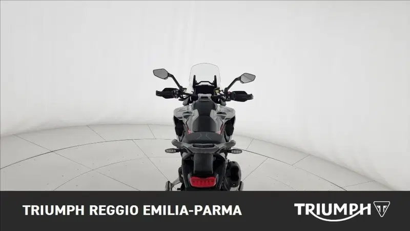 Triumph Tiger 1200 Alpine Edition (2020) (10)