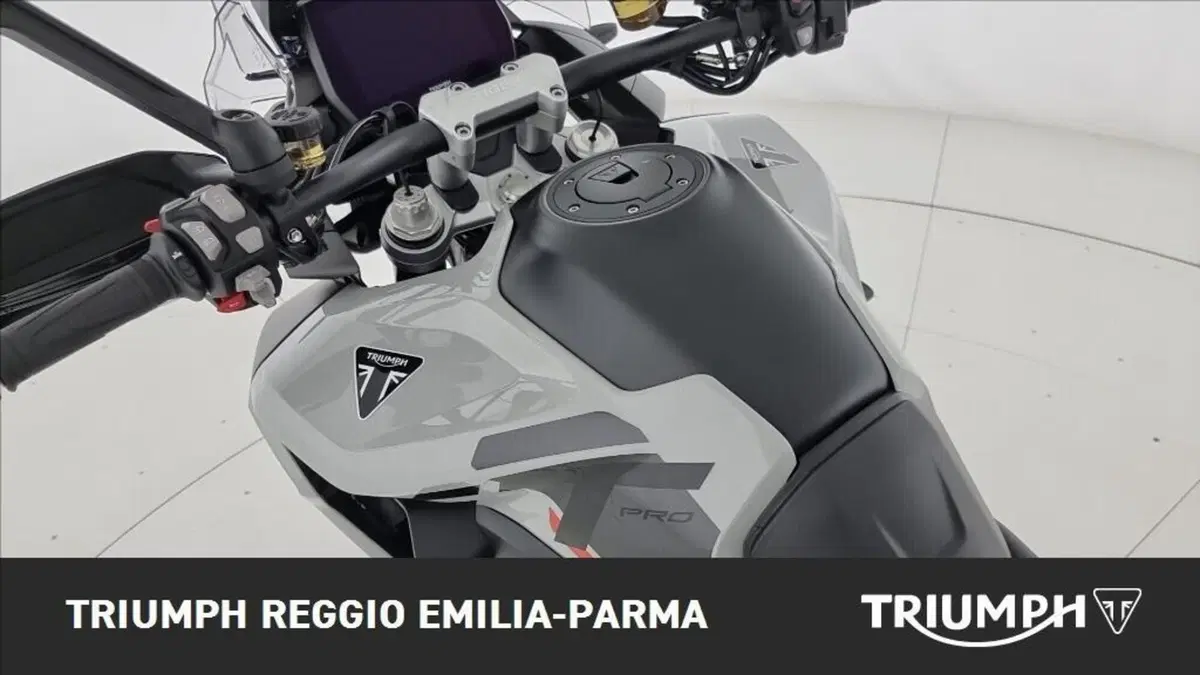 Triumph Tiger 1200 Alpine Edition (2020) (14)