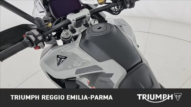 Triumph Tiger 1200 Alpine Edition (2020) (14)