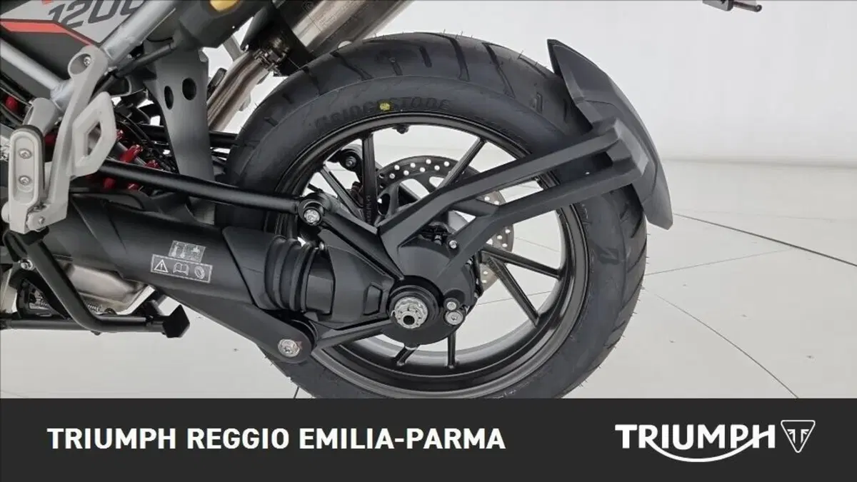 Triumph Tiger 1200 Alpine Edition (2020) (18)