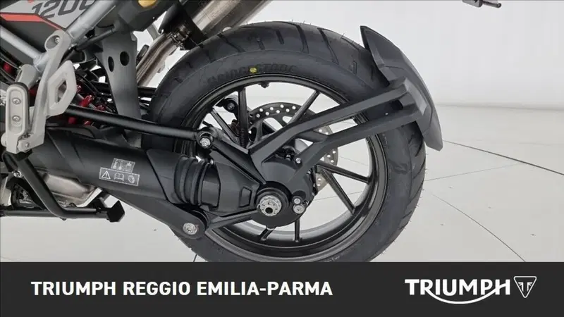 Triumph Tiger 1200 Alpine Edition (2020) (18)
