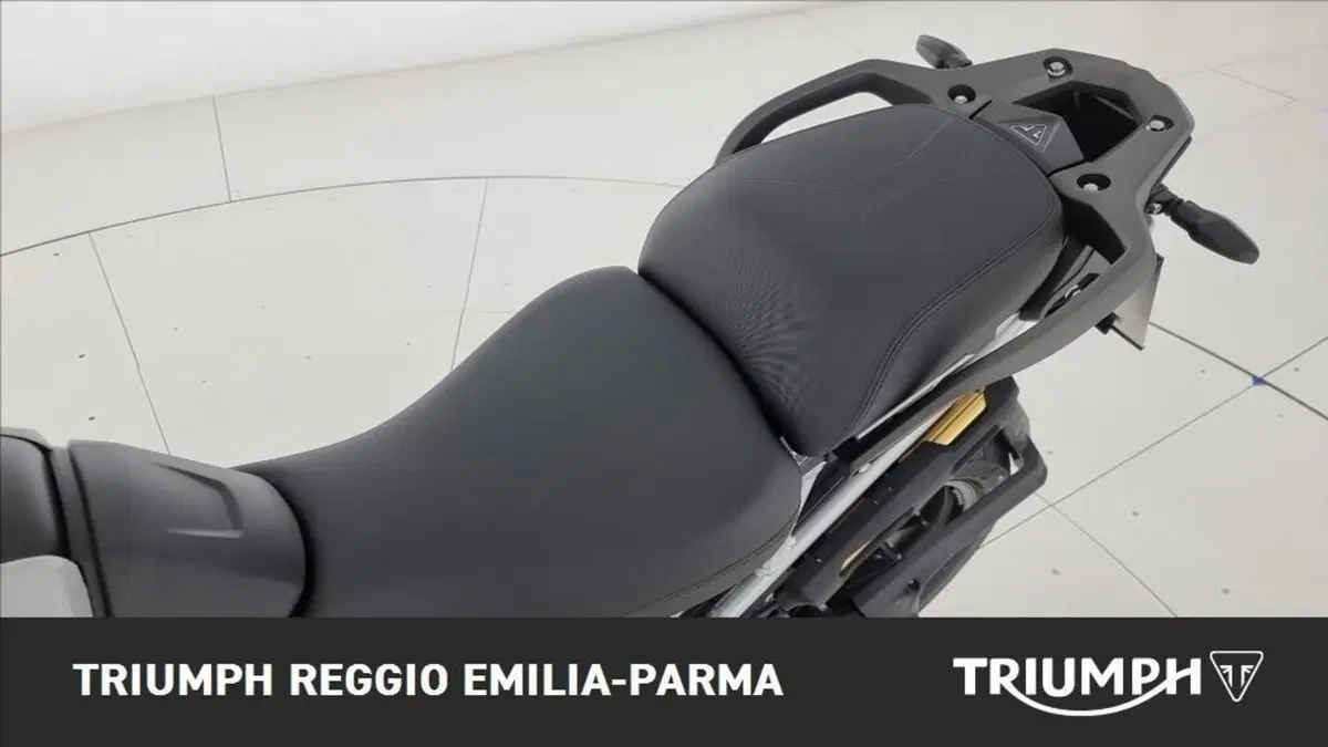 Triumph Tiger 1200 Alpine Edition (2020) (15)