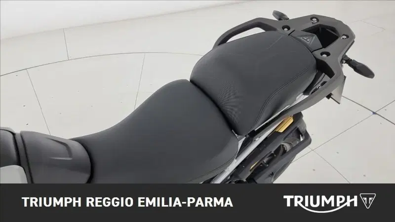 Triumph Tiger 1200 Alpine Edition (2020) (15)