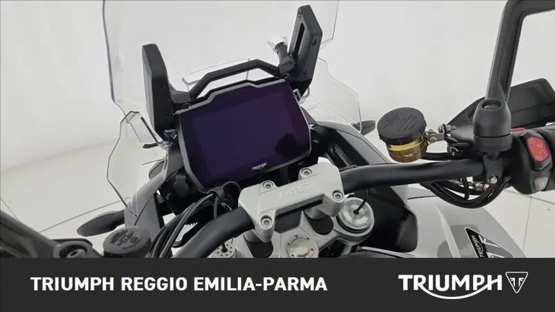 Triumph Tiger 1200 Alpine Edition (2020) (11)