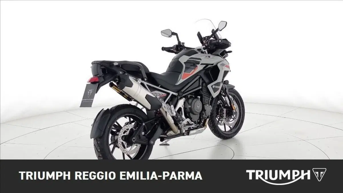 Triumph Tiger 1200 Alpine Edition (2020) (3)
