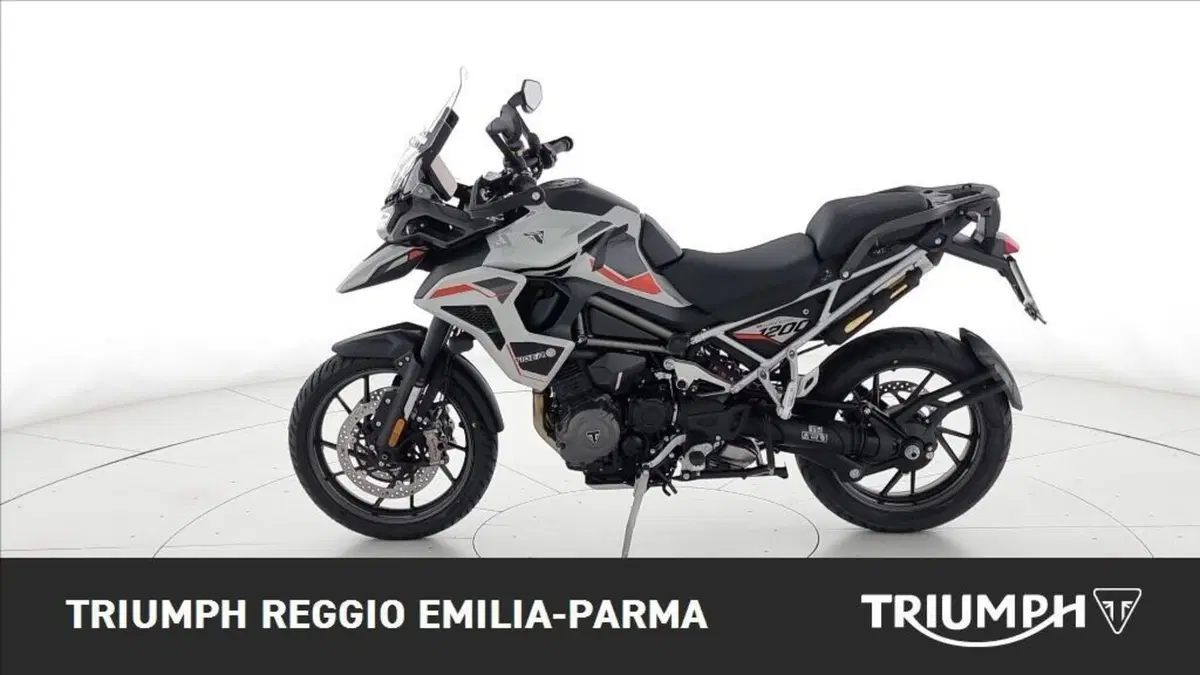 Triumph Tiger 1200 Alpine Edition (2020) (7)