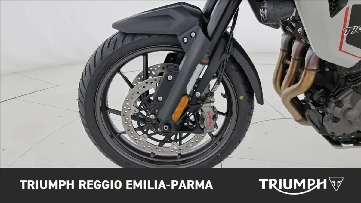 Triumph Tiger 1200 Alpine Edition (2020) (16)