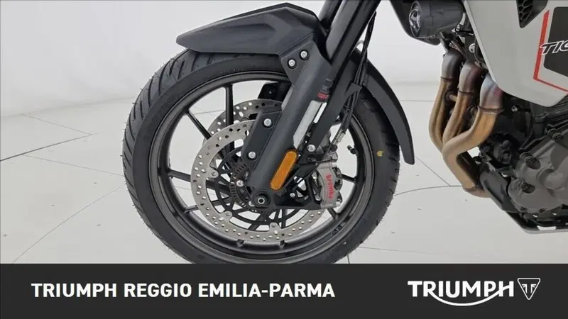 Triumph Tiger 1200 Alpine Edition (2020) (16)