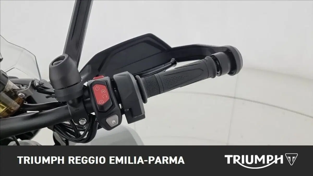 Triumph Tiger 1200 Alpine Edition (2020) (12)