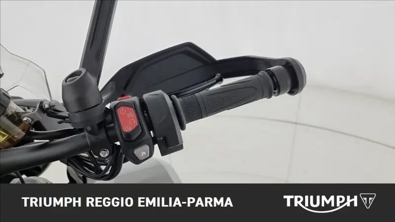 Triumph Tiger 1200 Alpine Edition (2020) (12)
