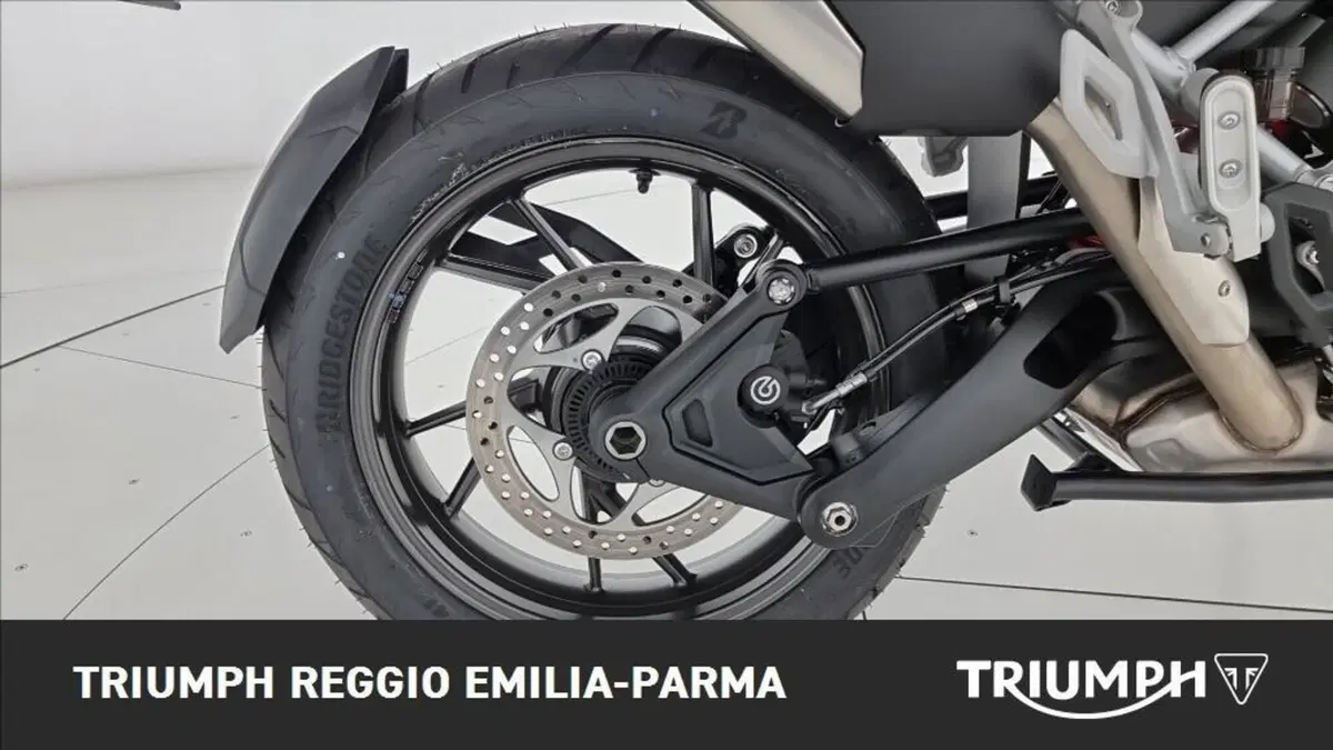 Triumph Tiger 1200 Alpine Edition (2020) (19)