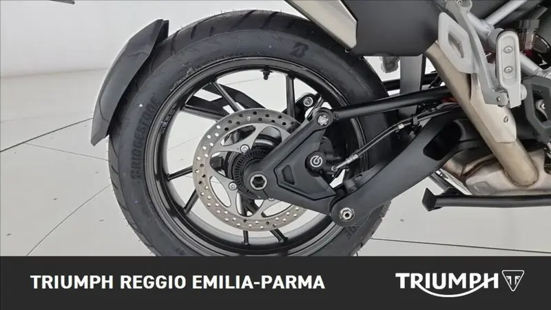 Triumph Tiger 1200 Alpine Edition (2020) (19)