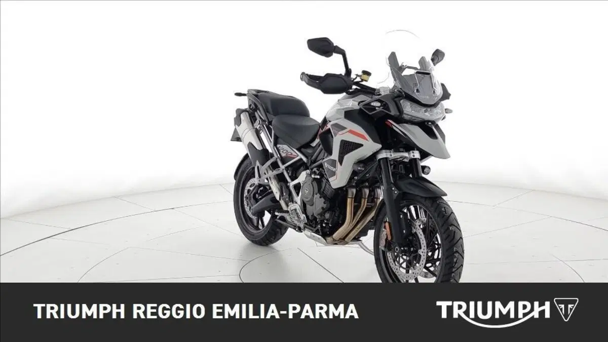 Triumph Tiger 1200 Alpine Edition (2020) (4)
