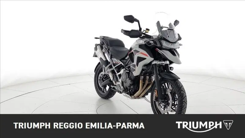 Triumph Tiger 1200 Alpine Edition (2020) (4)