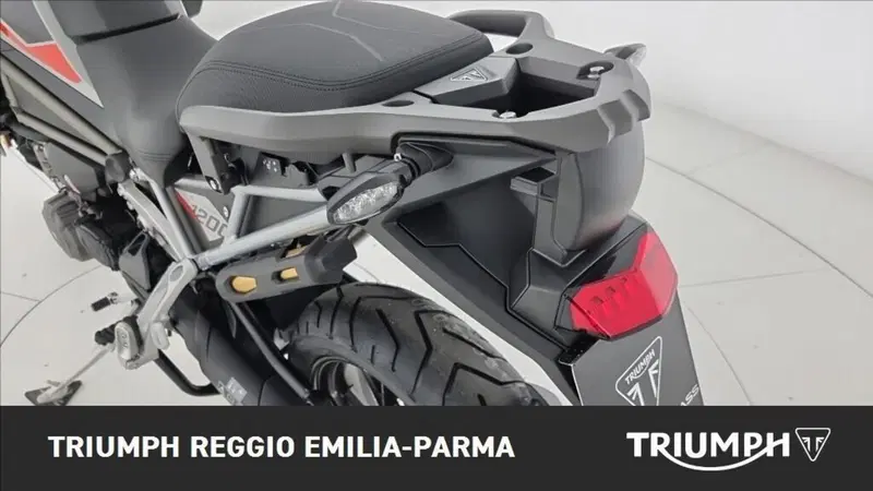 Triumph Tiger 1200 Alpine Edition (2020) (20)