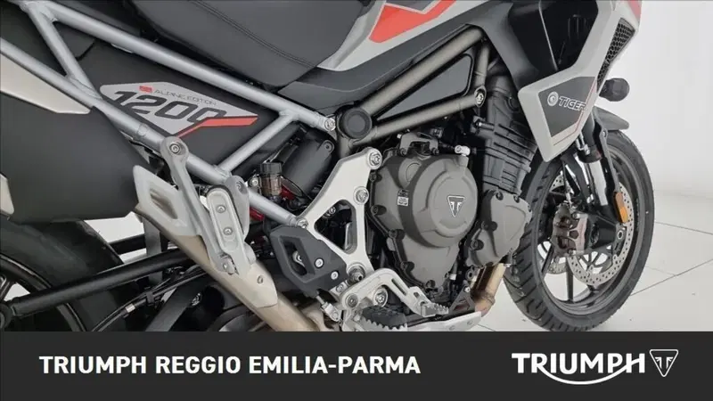 Triumph Tiger 1200 Alpine Edition (2020) (21)
