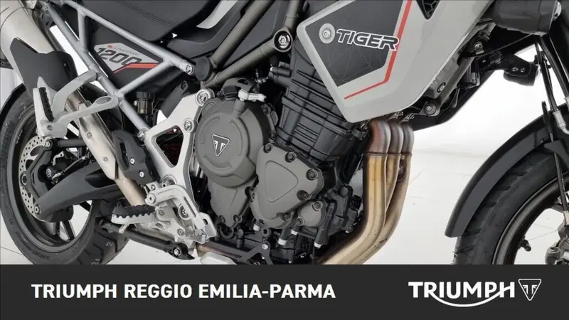 Triumph Tiger 1200 Alpine Edition (2020) (22)